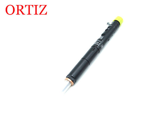 Black Color  Common Rail Injector Steel Material For CITROEN C3